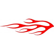 Flame 491